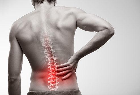 Understand Your Back & Pelvic Girdle Pain